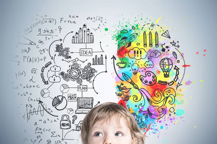 Dév.du cerveau de l'enfant Dév.du cerveau de l'enfant
